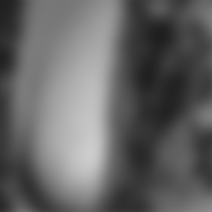 rencontre-Cougar-Caen