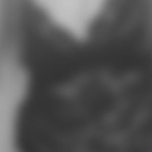 rencontre-Cougar-Grenoble