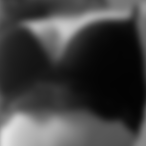 rencontre-Cougar-Pau