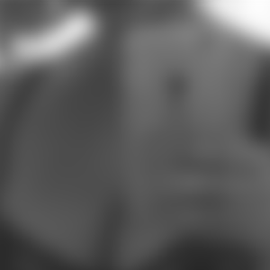 rencontre-Cougar-Poissy