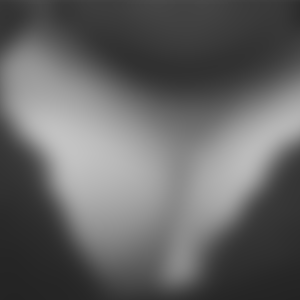 rencontre-Cougar-Vaulx-en-Velin