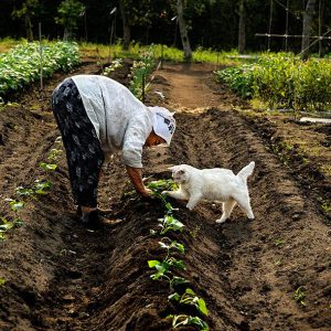 Élisabeth - rencontre-cougar-sarcelles-grcv